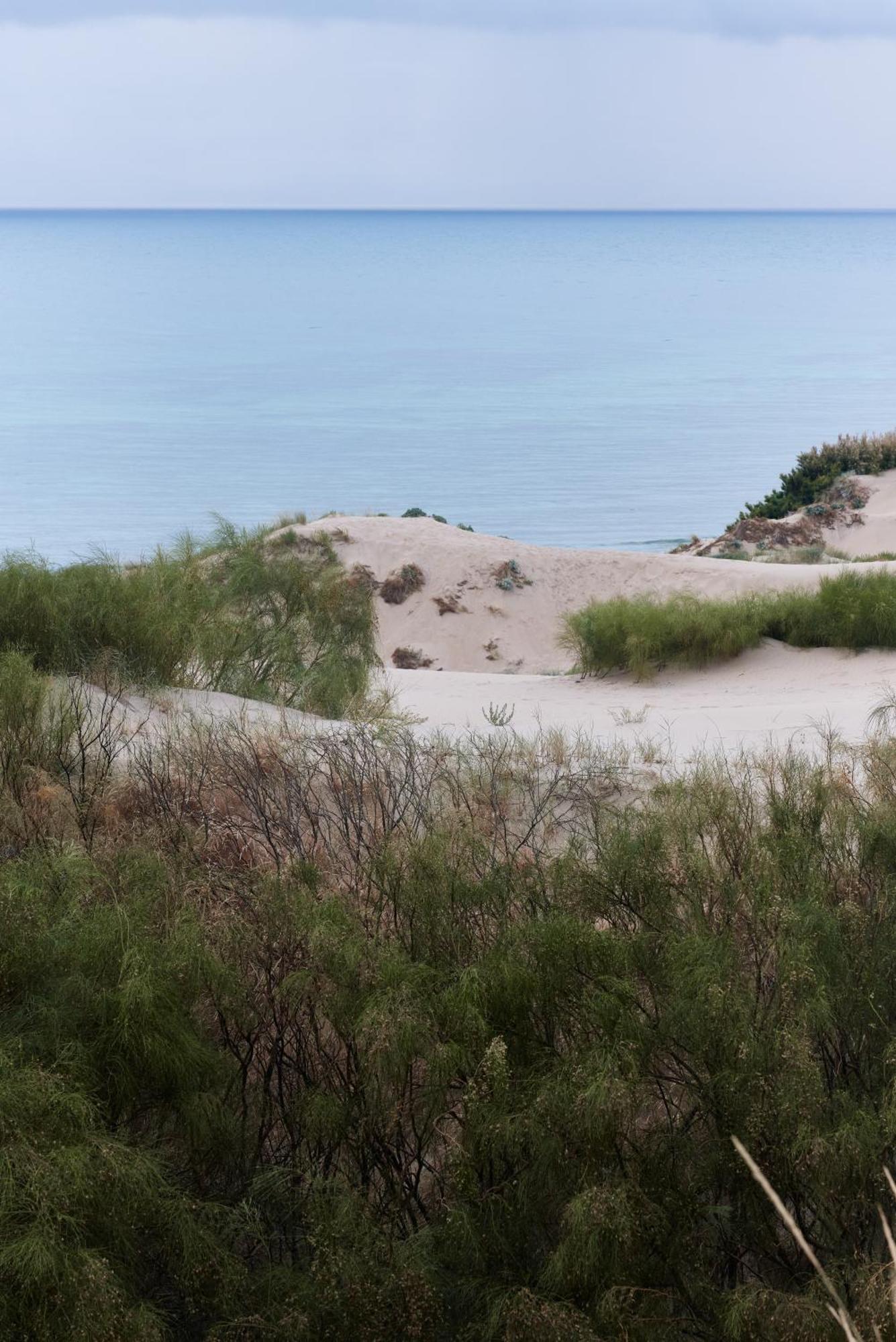 TEACAMPA Tarifa Punta Paloma Hotel Bagian luar foto