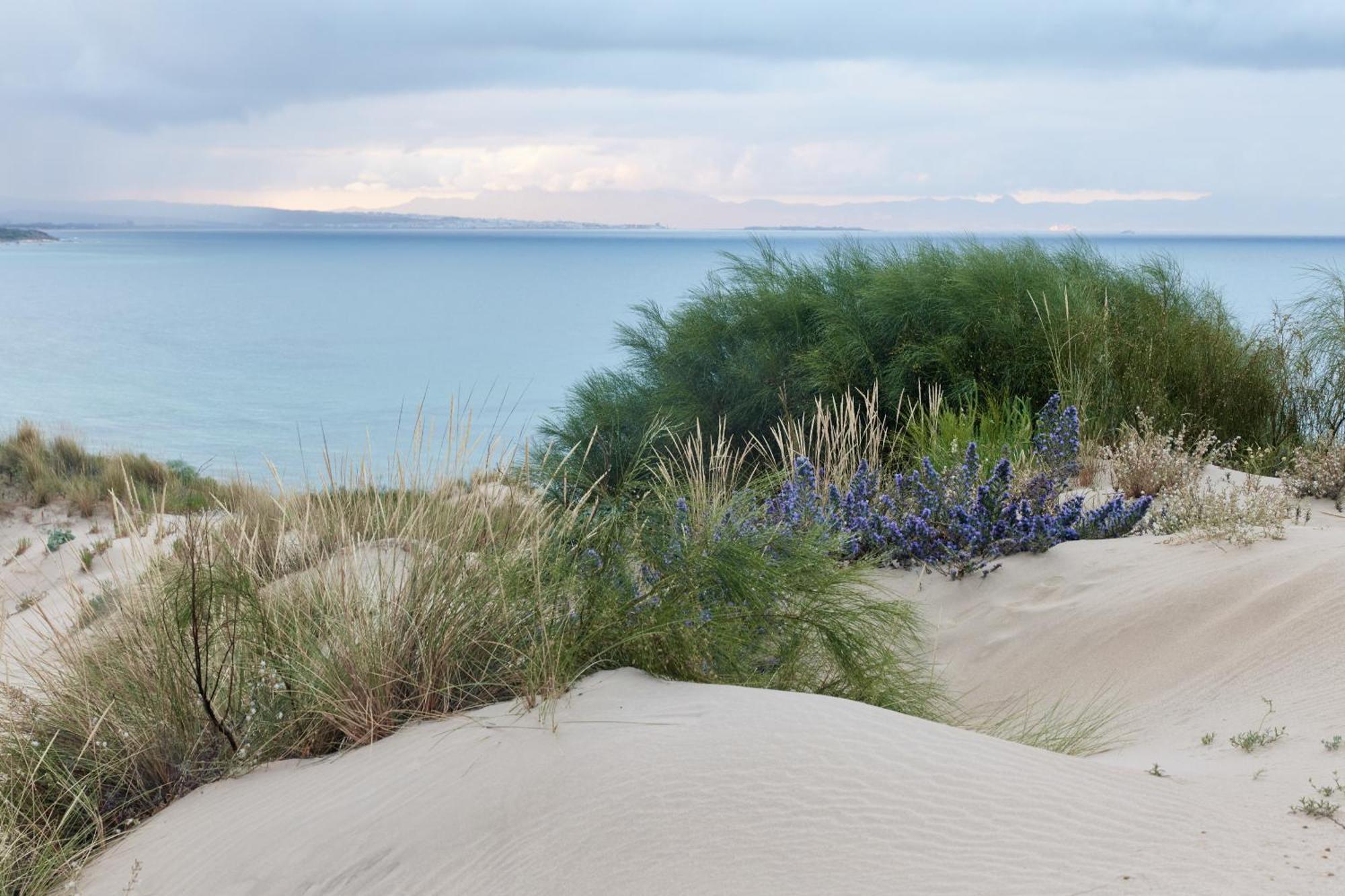 TEACAMPA Tarifa Punta Paloma Hotel Bagian luar foto